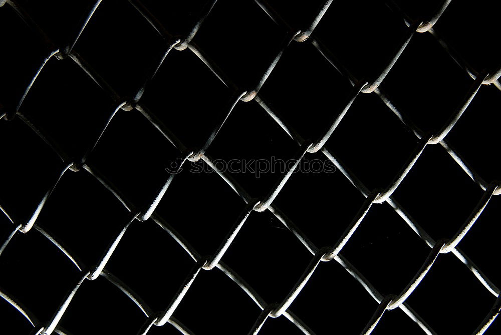 Similar – Image, Stock Photo urge for freedom Fence