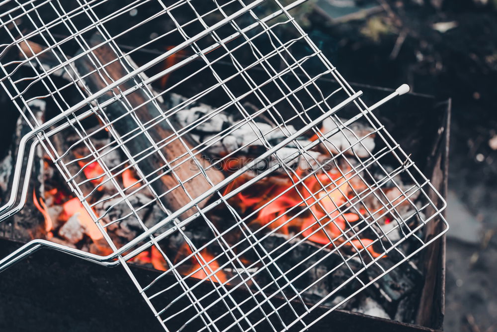 Similar – Gegrillte Sardinen aus der Nähe