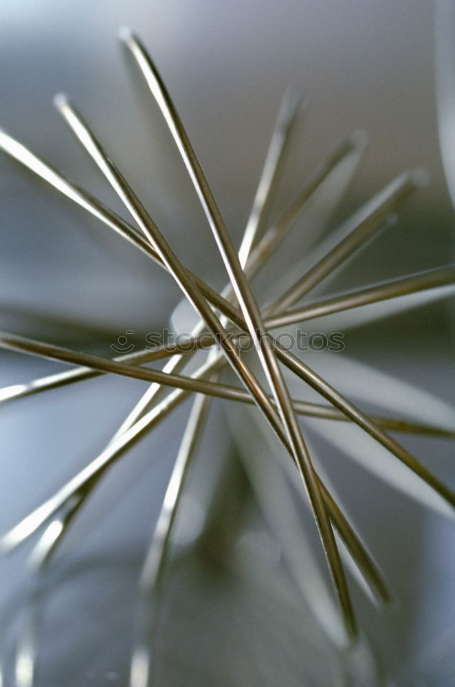 whisk Reflection Abstract