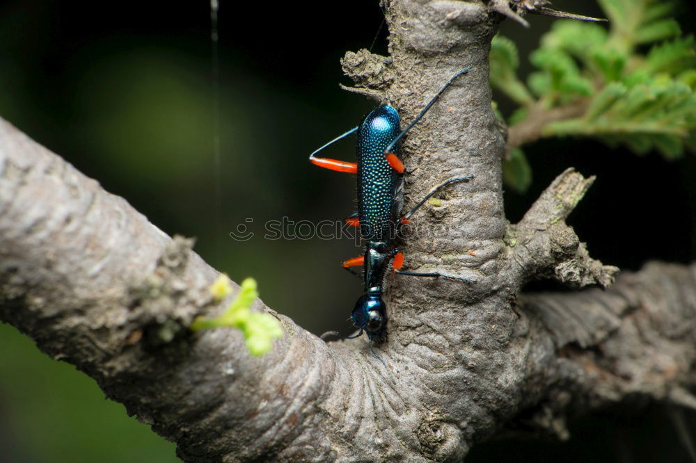 Foto Bild Fischers Fritze Angeln