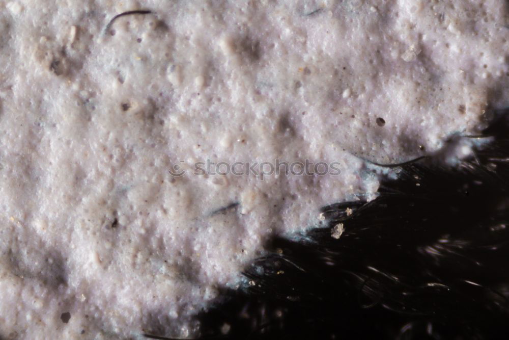 Similar – Image, Stock Photo Frozen Winter Environment