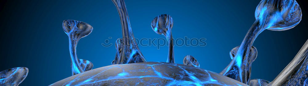 Similar – Foto Bild Blautanne Tanne blau Natur