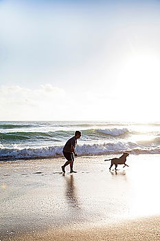 Similar – Image, Stock Photo kite excursion