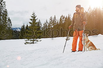 Similar – Image, Stock Photo Romping in the snow