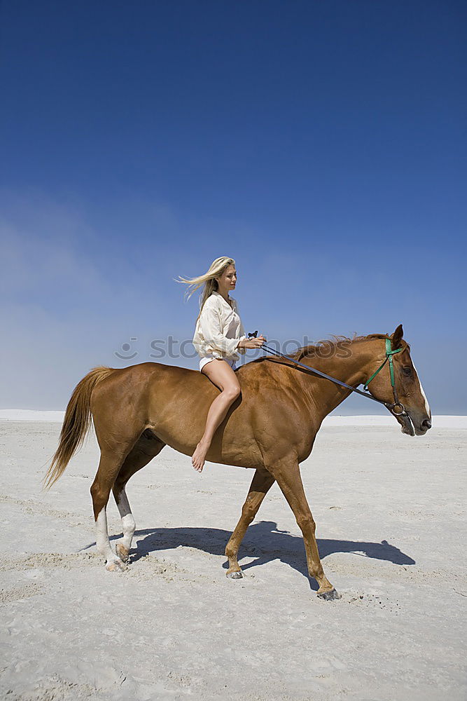 Similar – Silhouetten von drei Reitern bei Sonnenschein am Strand