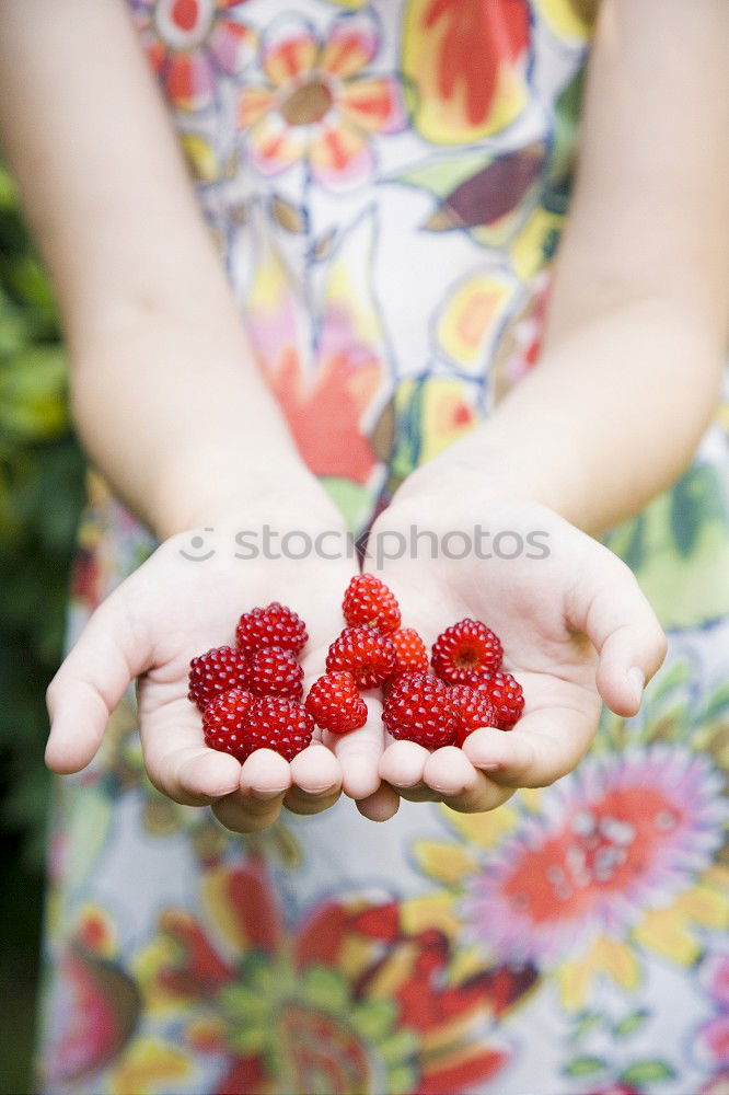 Similar – Girl enjoying eating the fresh blueberries outdoors