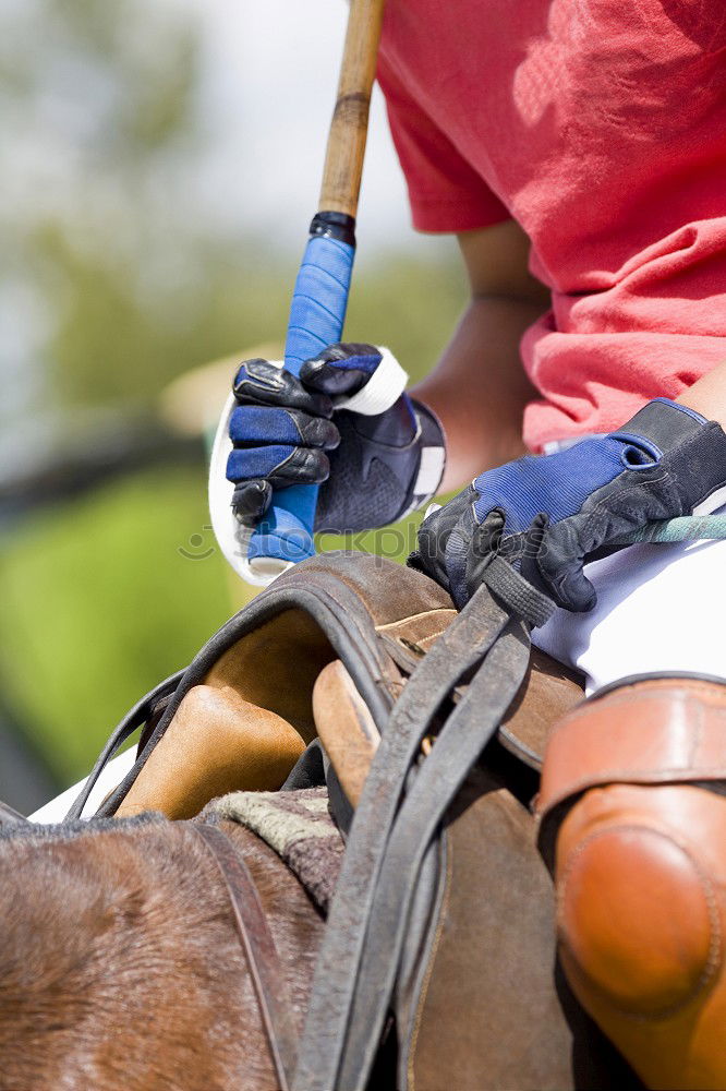 Similar – Image, Stock Photo Man saddling a horse and tighten the girth. Foreground.
