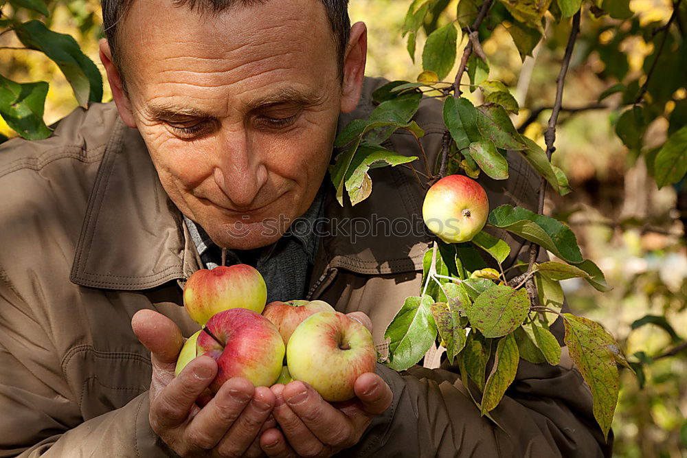 Similar – Young man harvesting apples