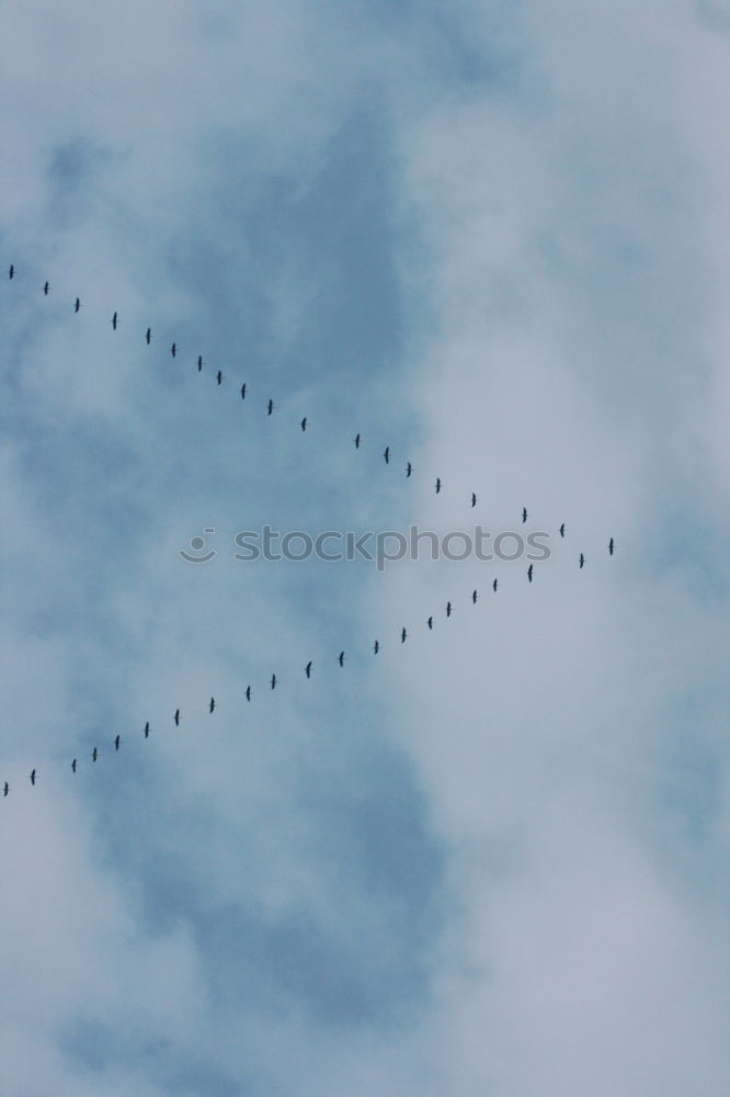 Similar – Image, Stock Photo tracks Winter Snow Ice