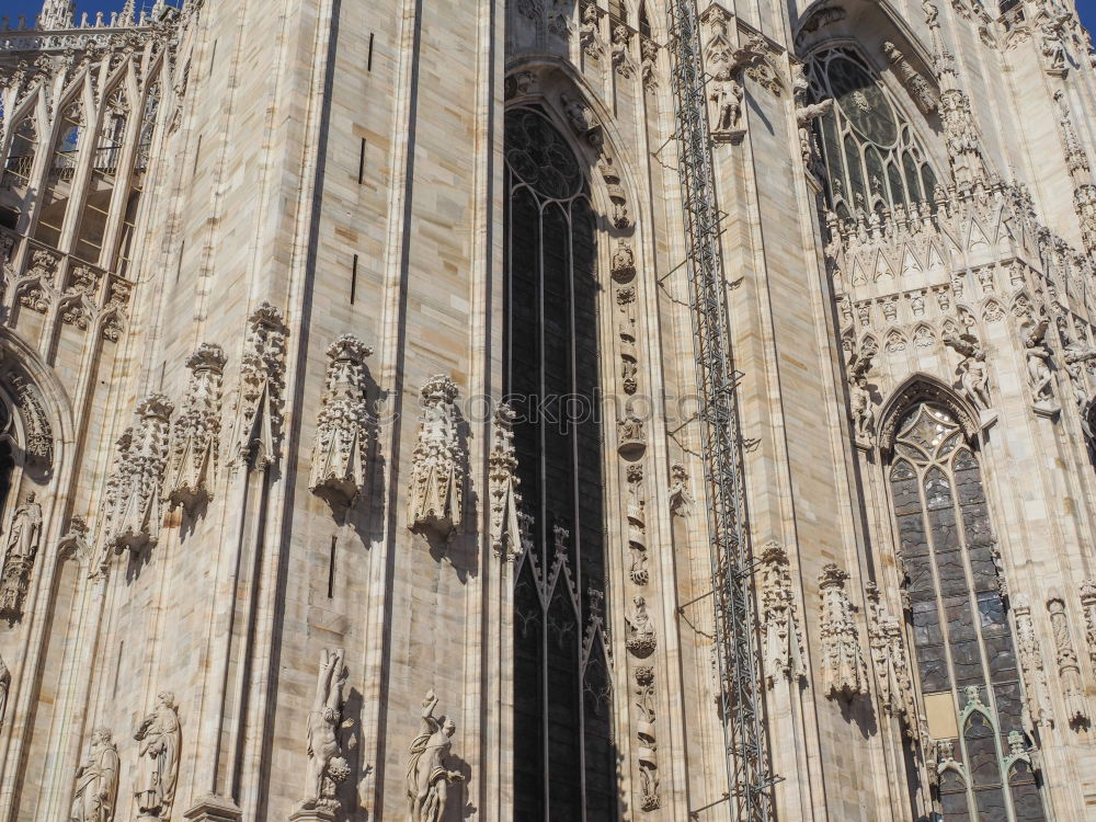 Similar – jecken monument Cologne