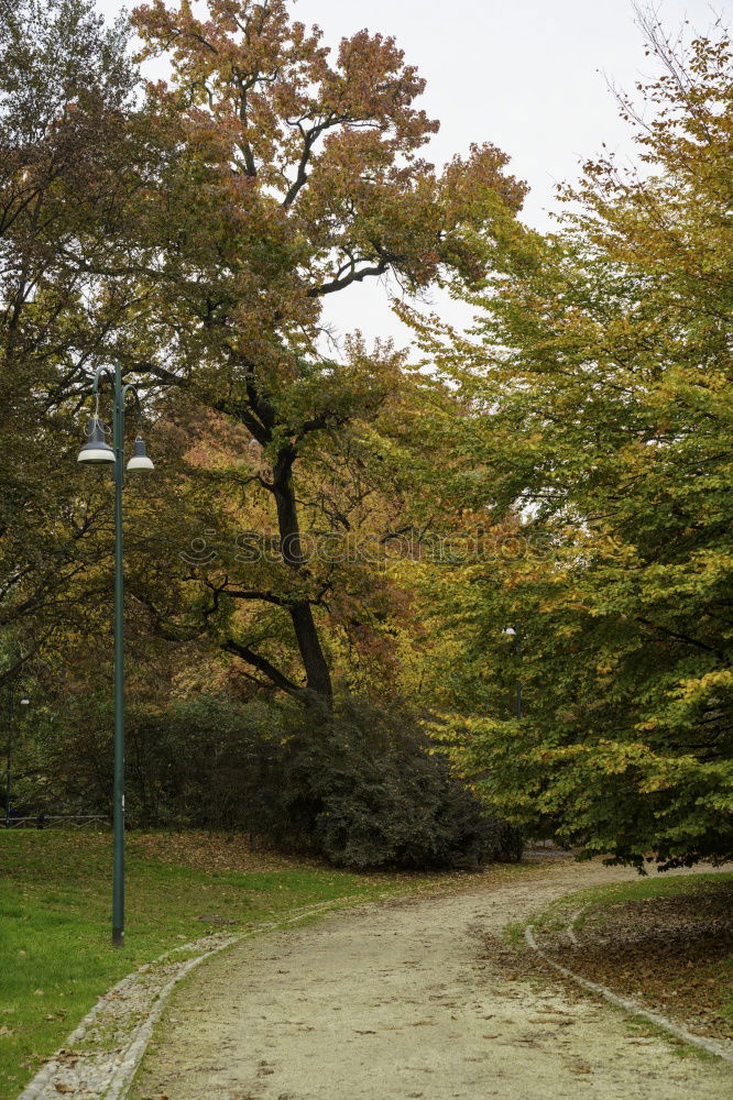 Similar – Park bench in the fall at Lago Ledro