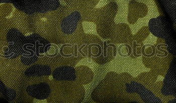 Similar – camouflage Camouflage