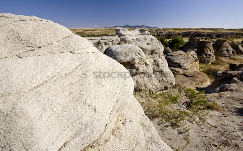 Similar – Image, Stock Photo Summer at the Barents Sea