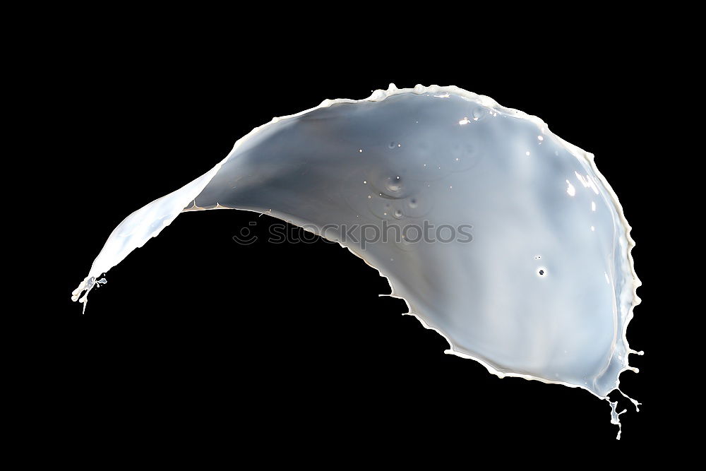 Similar – Image, Stock Photo water leaf3 Cloth Black