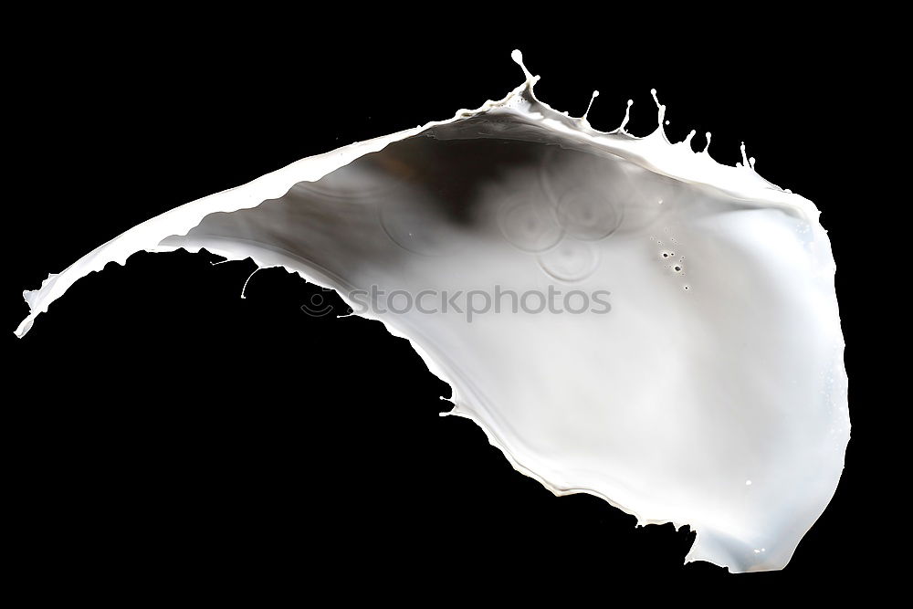 Similar – Image, Stock Photo water leaf3 Cloth Black