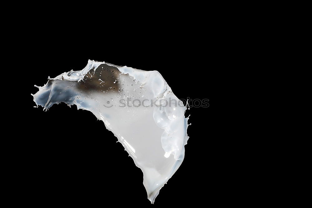 Similar – Image, Stock Photo Dried fish in a bag with paper on a black surface