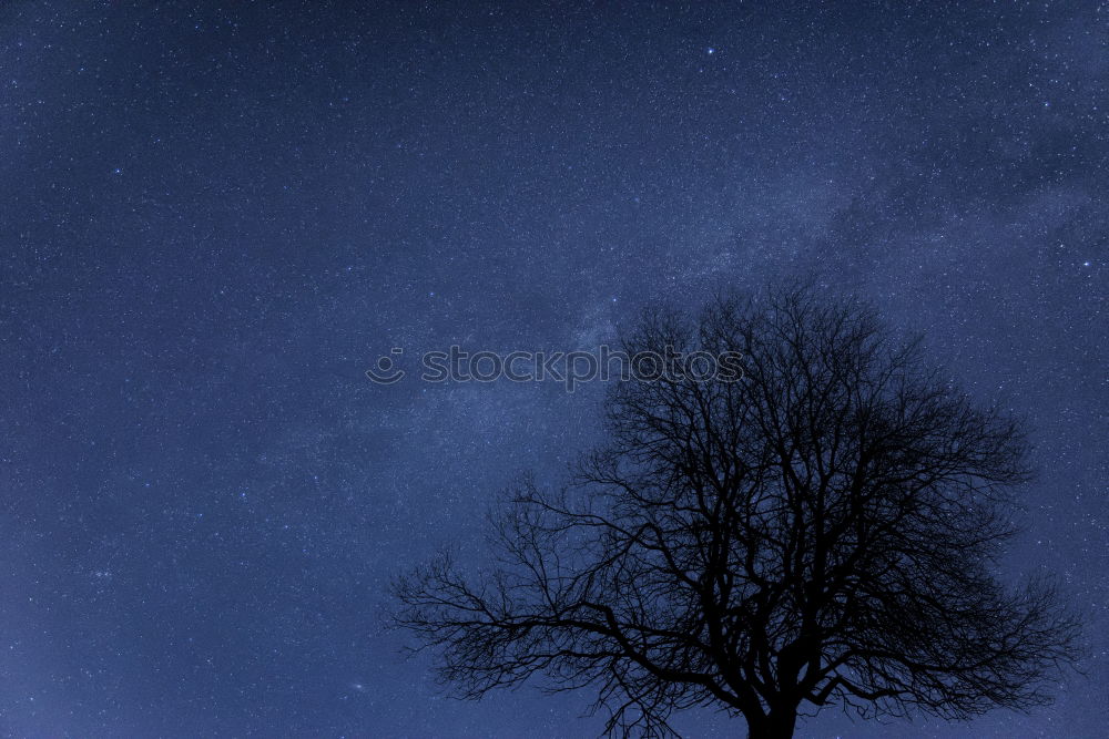 Similar – Image, Stock Photo cross Tree Night Dark