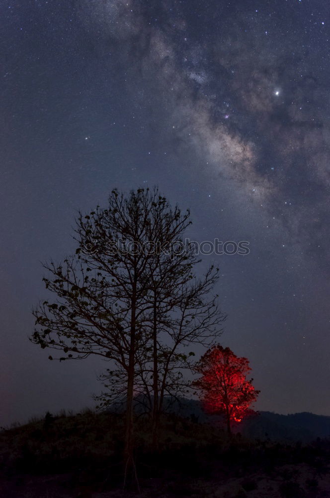 Similar – Image, Stock Photo Atacama Milkyway