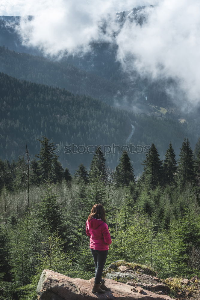 Image, Stock Photo Capture the view