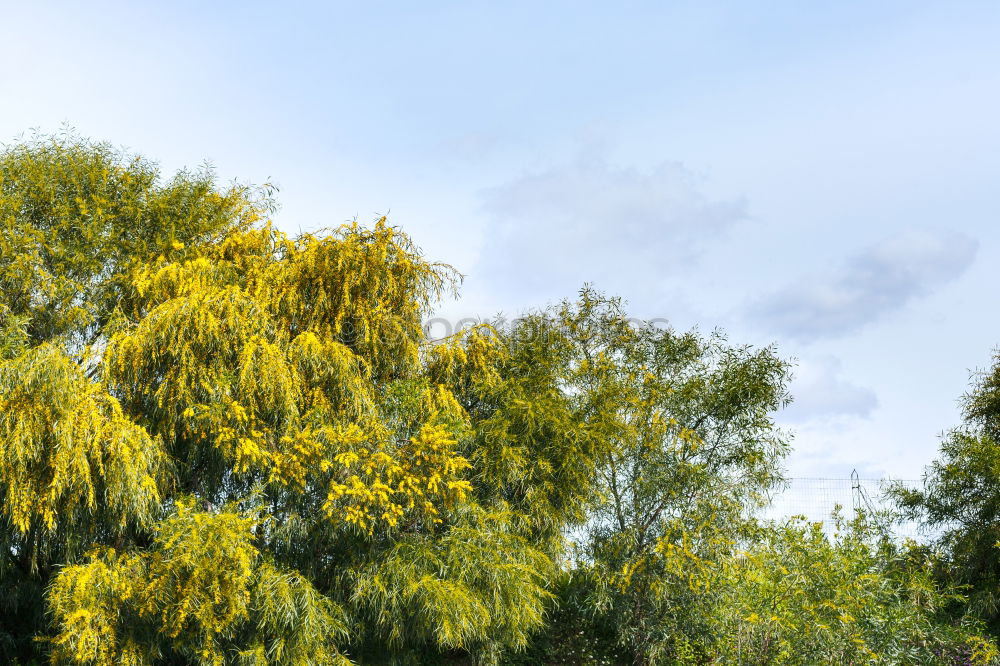 Similar – Image, Stock Photo Rummelsburger Bay