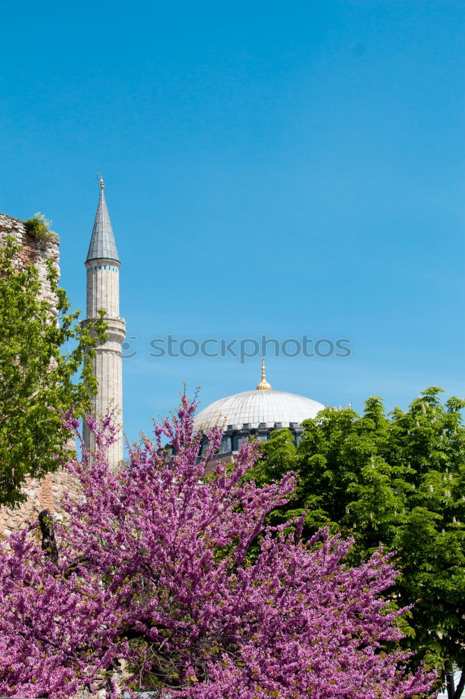 Similar – Image, Stock Photo Stuttgart in spring Nature