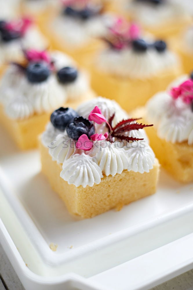 Similar – Image, Stock Photo Tartlets with blueberries and pink flowers