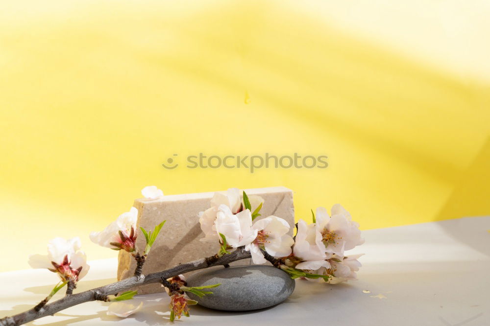 Similar – Image, Stock Photo Honey spoon on honeycomb with fresh flowers