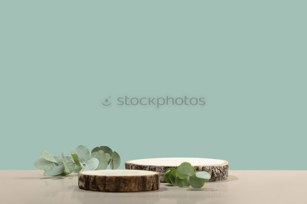 Similar – Image, Stock Photo I have no idea! A blank piece of paper with a pen and a vase of flowers on a wooden table