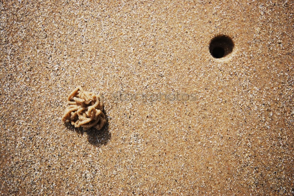 Similar – shells on the beach Lake