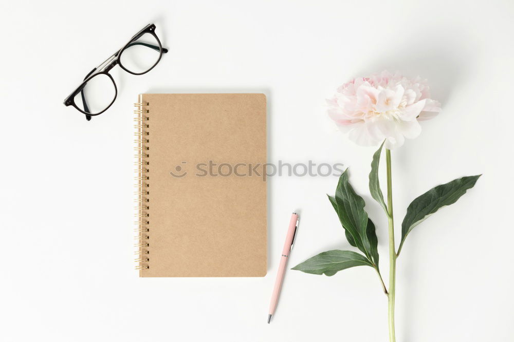 Similar – Eyeglasses and green palm leaves