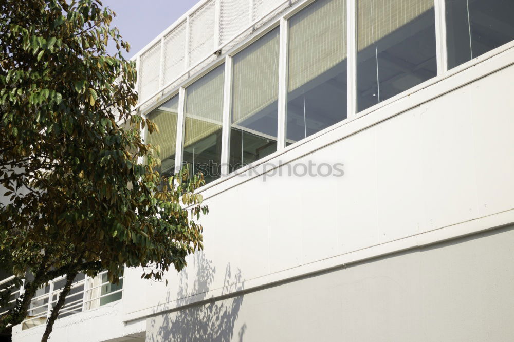 Similar – windows Wall (building)