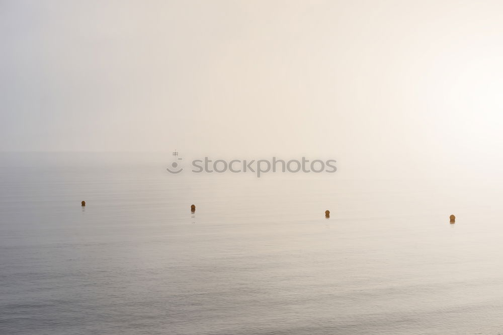 Similar – Image, Stock Photo Evening ferry to Amrum