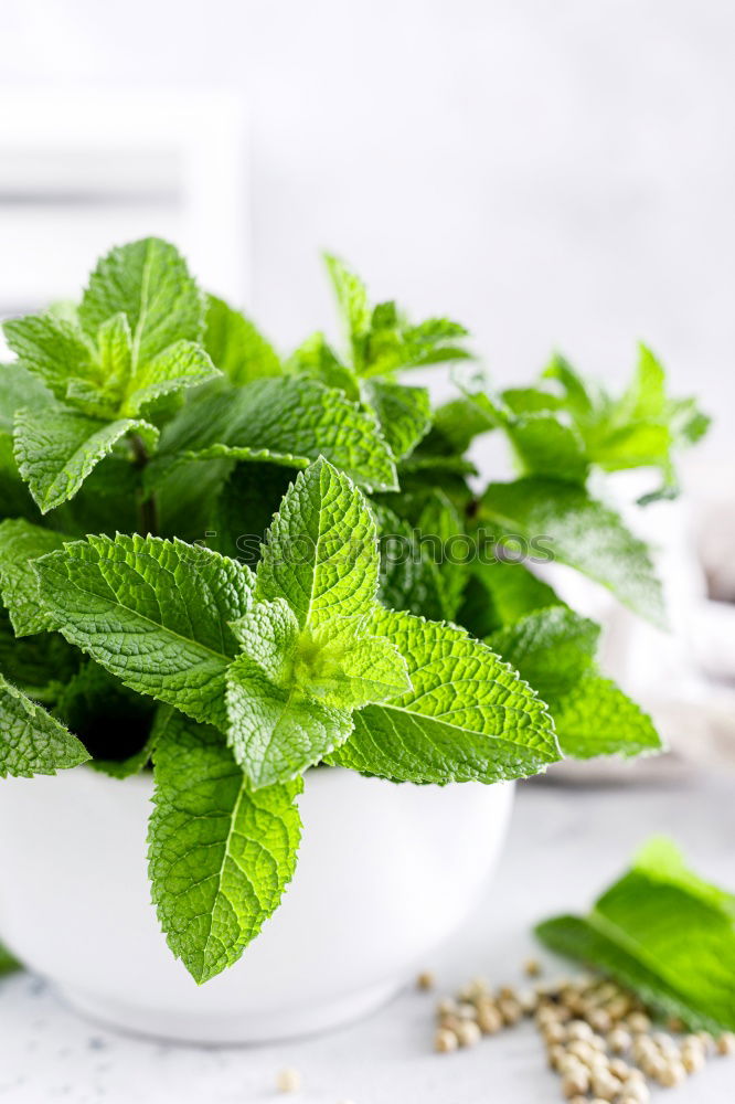 Similar – Image, Stock Photo Licorice Mint Tea Beverage