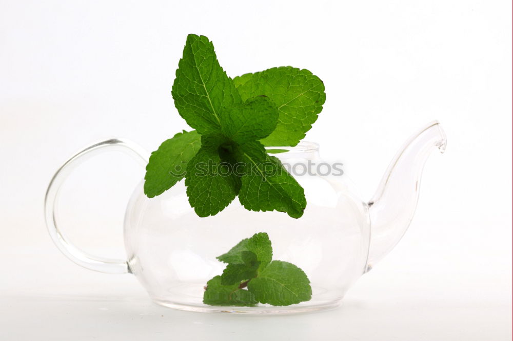 Similar – Image, Stock Photo Herbal tea from fresh nettle