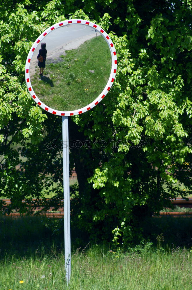 Similar – Mirror Forest Tree Nature