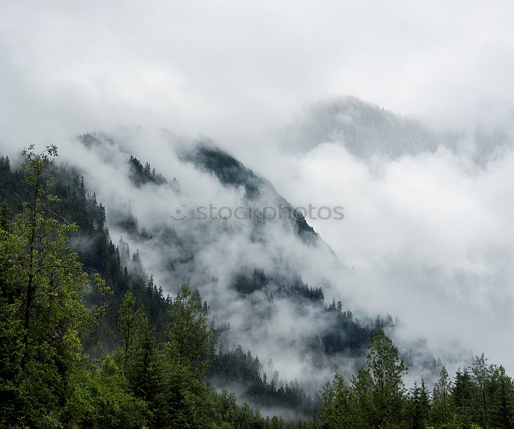 Similar – Image, Stock Photo Alta Pusteria South Tyrol