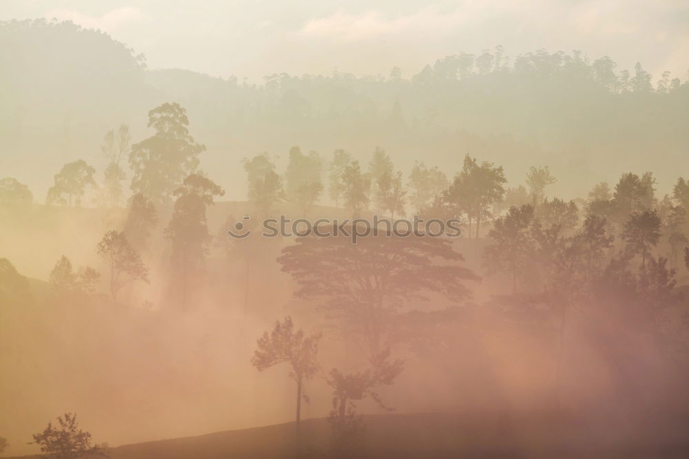 Similar – Alpine village in mountains. Smoke, bonfire and haze