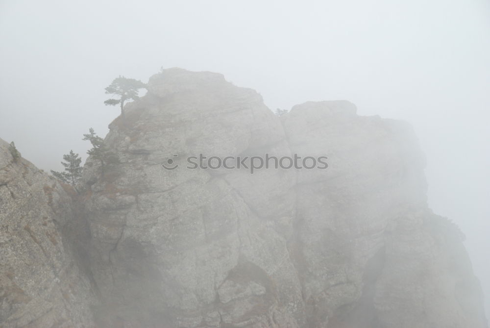 Similar – Image, Stock Photo The way Mountain