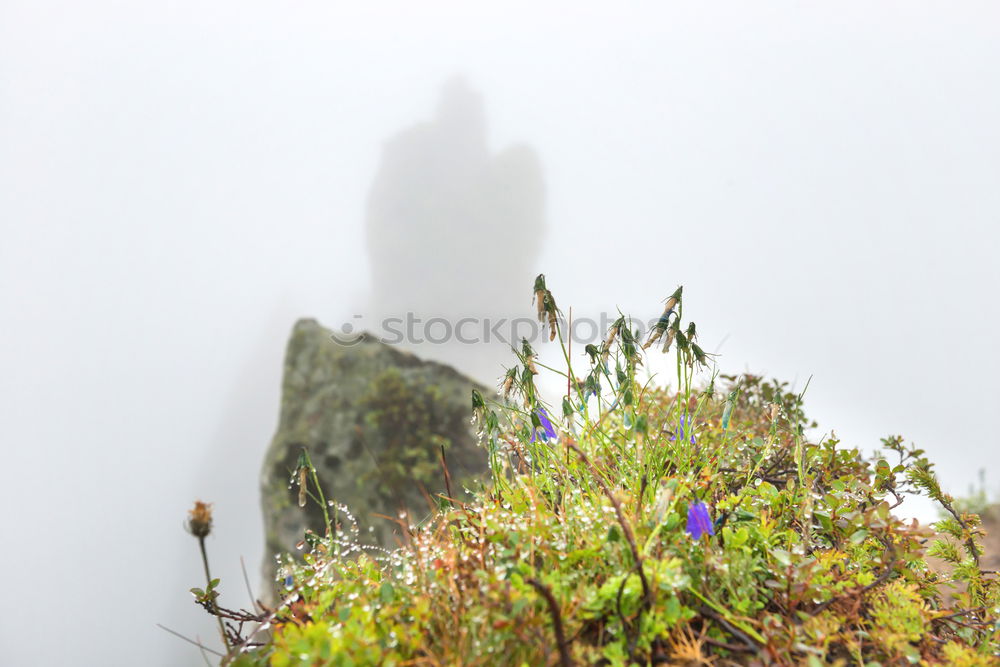 Similar – Foto Bild Himmelwärts Farbfoto