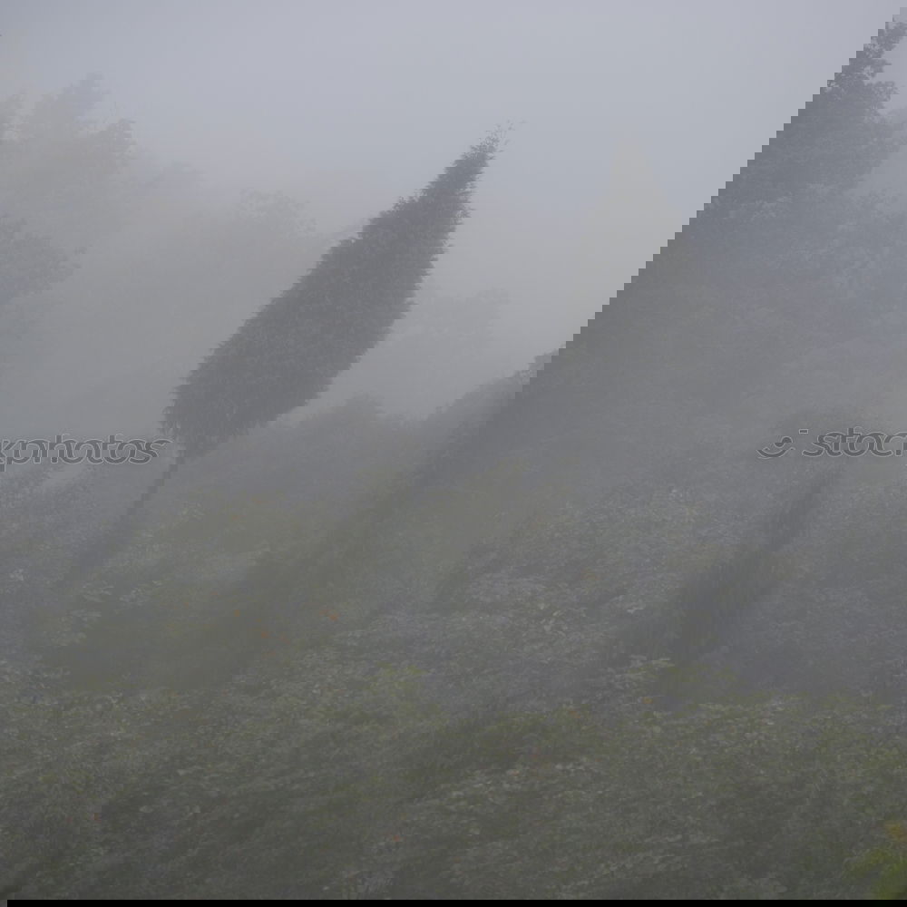 Similar – Foto Bild *urlaubstraum* Landschaft