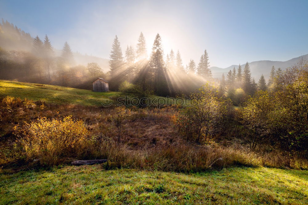 Similar – Image, Stock Photo Summer misty sunrise on the river. Foggy river in the morning