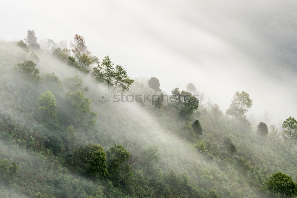 Similar – fog wall Environment