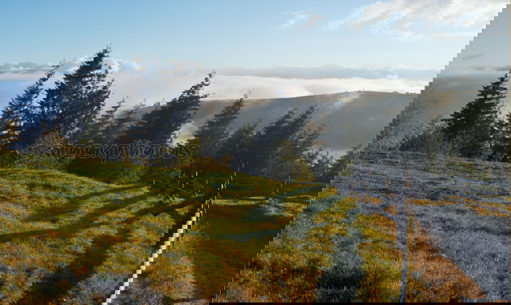 Similar – Image, Stock Photo After Forest Fire Mountain