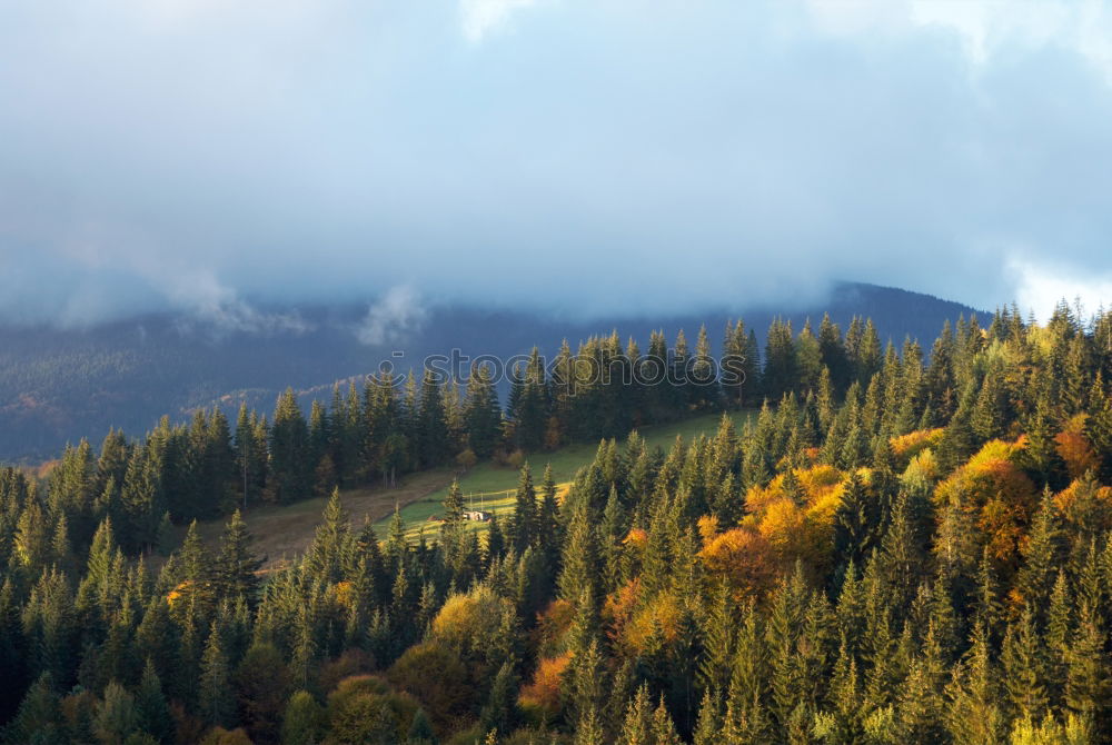 Similar – Image, Stock Photo fog Nature Landscape