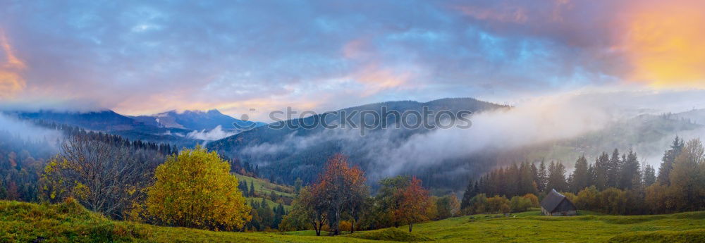 Similar – Image, Stock Photo Mount Rainier Wildflowers