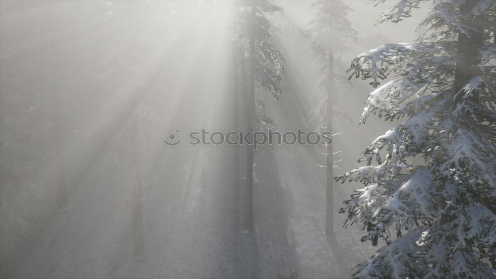 Similar – ***cool*** Sun Winter Snow