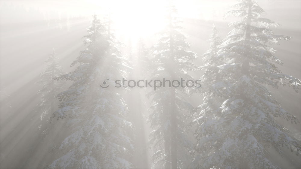 Similar – Wintersportweihnachtskarte