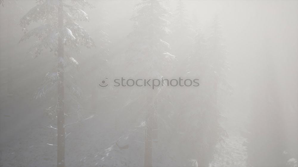 Similar – Image, Stock Photo air gliders Environment