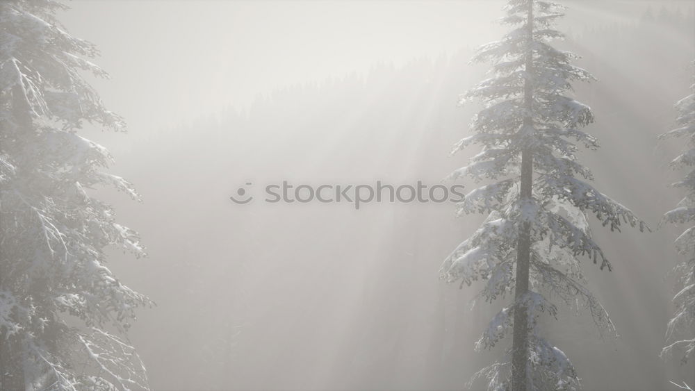 Similar – Image, Stock Photo air gliders Environment