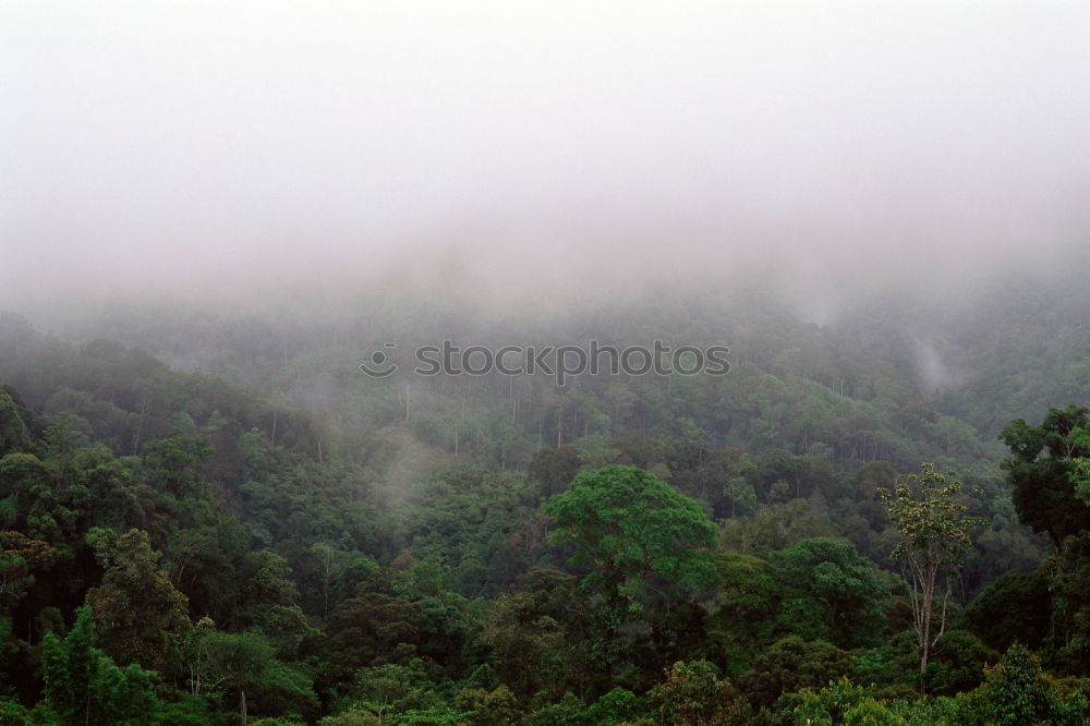 Similar – Safari Sunrise Landscape